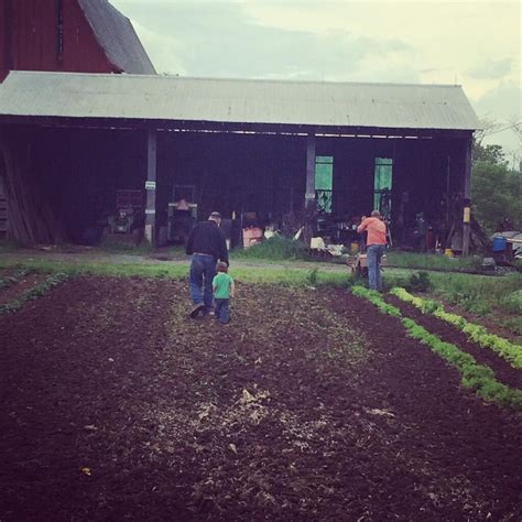 tudor hall farm